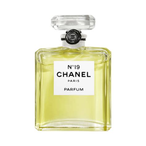 n19 chanel paris|where to buy chanel 19.